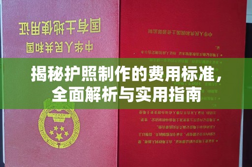 大丰揭秘护照制作的费用标准，全面解析与实用指南